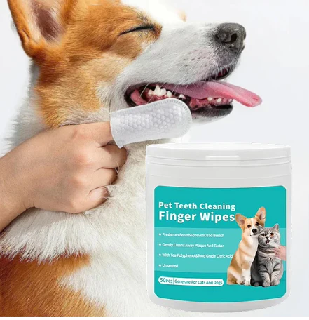 FreshWipes Kit – Protects Against Dental Diseases