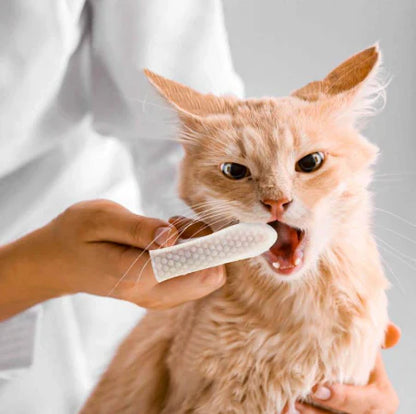 FreshWipes Kit – Protects Against Dental Diseases