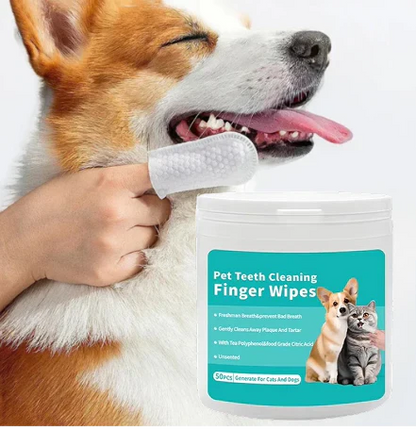 FreshWipes Kit – Protects Against Dental Diseases