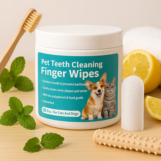FreshWipes Kit – Protects Against Dental Diseases
