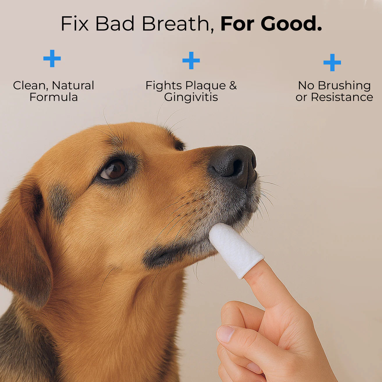 FreshWipes Kit – Protects Against Dental Diseases