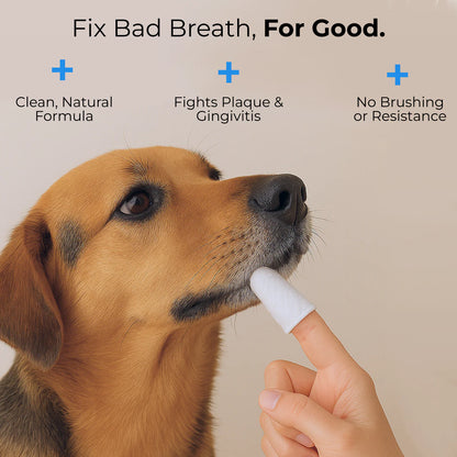 FreshWipes Kit – Protects Against Dental Diseases