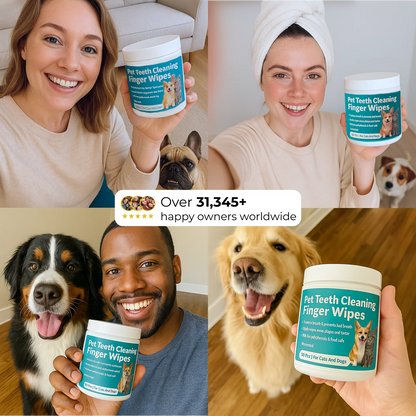 FreshWipes Kit – Protects Against Dental Diseases