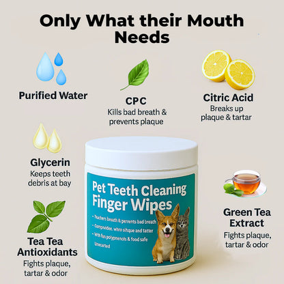 FreshWipes Kit – Protects Against Dental Diseases